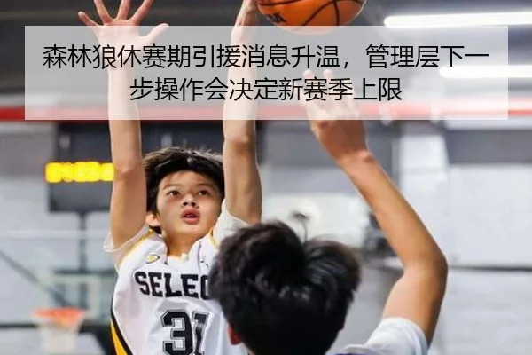 森林狼休赛期引援消息升温，管理层下一步操作会决定新赛季上限